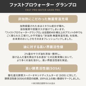 国内正規品 エステプロラボ ファストプロウォー...の詳細画像2