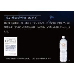 国内正規品 エステプロラボ ファストプロウォー...の詳細画像3