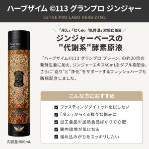 国内正規品 シリアルNo付 エステプロラボ ハ...の詳細画像2