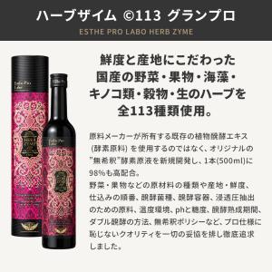 国内正規品 シリアルNo付 エステプロラボ ハ...の詳細画像4