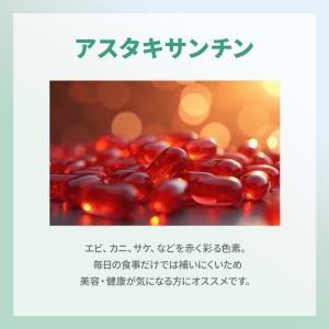 国内正規品 コネクト ポー ワコナルビューティ...の詳細画像1