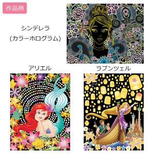 【中古】新品 未使用品 大人のためのヒーリング...の詳細画像1