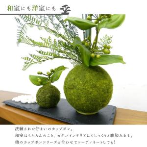 苔玉 盆栽 フェイクグリーン [サンキライ 寄...の詳細画像5