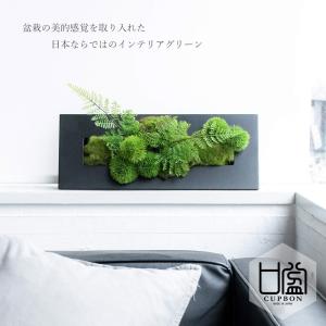 フェイクグリーン 壁掛け 額 [ウォールデコ ...の詳細画像1