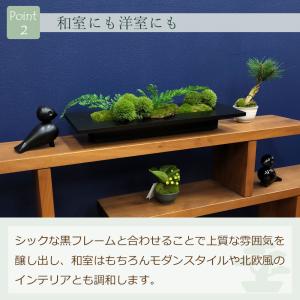 フェイクグリーン 壁掛け 額 [ウォールデコ ...の詳細画像4
