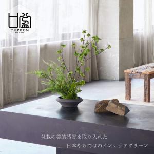 和風 フェイクグリーン 造花 盆栽 [ドウダン...の詳細画像1