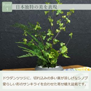 和風 フェイクグリーン 造花 盆栽 [ドウダン...の詳細画像3