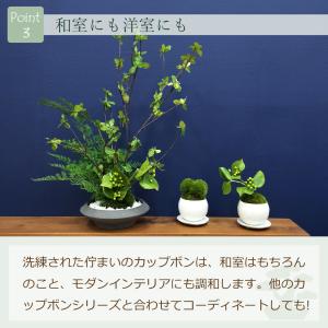 和風 フェイクグリーン 造花 盆栽 [ドウダン...の詳細画像5