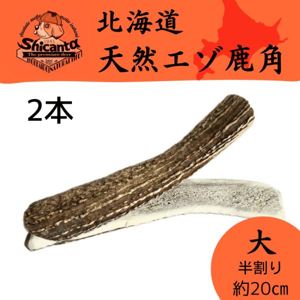 【20cm 大サイズ 半割り 2本セット 中型〜大型犬用】 北海道天然エゾ鹿の角 極太 犬のおもちゃ...