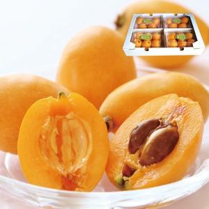 唐川びわ 4パック 約1.6kg 約20個 L〜３L サイズ混合 愛媛