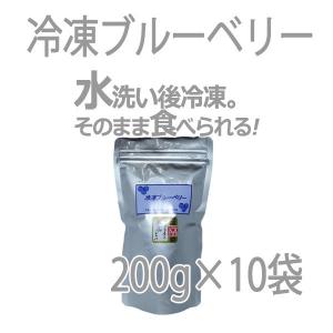 高山ガーデン 冷凍 ブルーベリー 200g×10袋 サイズ混合 国産 愛媛 一部地域 送料無料