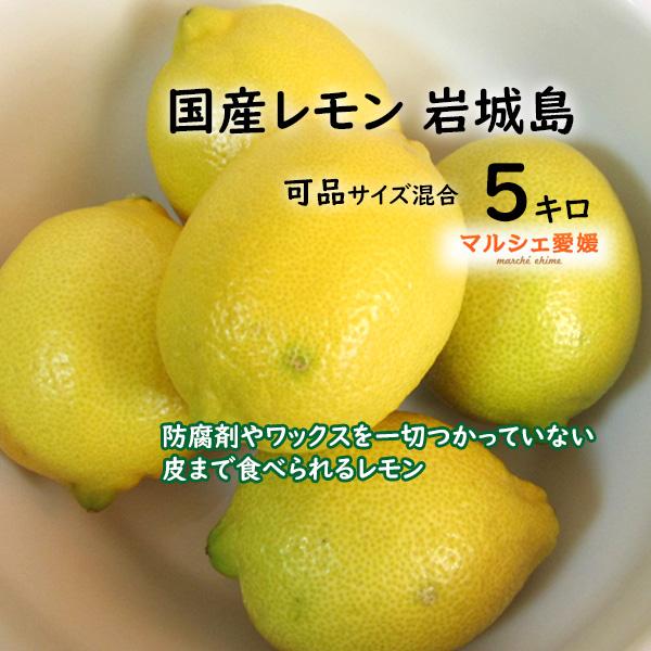 国産レモン 5キロ サイズ混合 瀬戸内レモン 可品 5kg ｓ Ｍ Ｌ 2Ｌ 業務用 傷有 愛媛 レ...