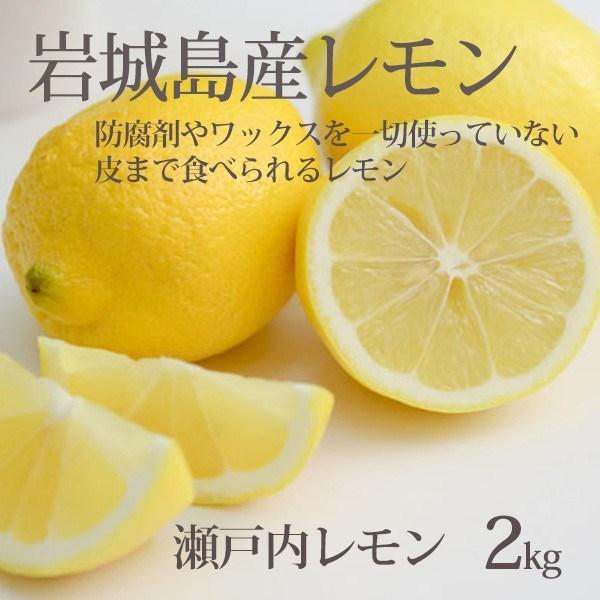 国産 レモン 整品 2kg 生レモン 2キロ 瀬戸内産 まれに傷有 皮まで食べられる 瀬戸内レモン