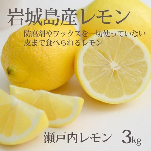 国産 レモン 整品 3kg 生レモン 瀬戸内産 まれに傷有 皮まで食べられる 一部地域 送料無料