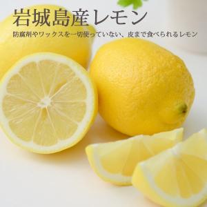 国産 レモン 秀品 3kg 生レモン 3キロ 瀬戸内産 防腐剤不使用 皮まで食べられる 一部地域 送料無料