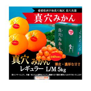 【送料無料　ご家庭用】愛媛産　真穴のしずくみかん　SS 約10ｋｇ　小粒まあな 送料無料 ご家庭用】愛媛産 真穴のしずくみかん SS 約10kg 小粒