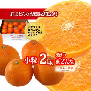 愛媛のまどんな 小粒 家庭用 箱買い 家庭用 小粒 2kg L 2キロ 風スレ傷有 マルシェ愛媛 一部地域 送料無料