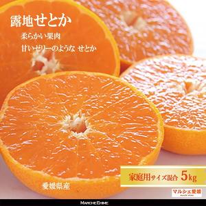 露地 せとか 2キロ 傷有 愛媛 みかん 家庭用 箱買い 柔らかな果肉