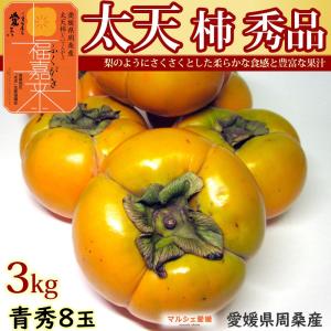 太天柿 柿 秀品 3kg 青秀 8玉 3キロ 周桑 たいてん ふくがき 福嘉来 贈答 ギフト 御歳暮...