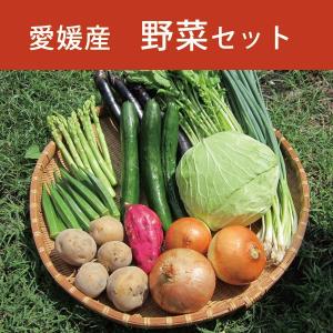 10種類の野菜セット 野菜 10キロ以内 愛媛  四国産 野菜まるごと 内容お任せ 一部地域 送料無料｜marche-ehime