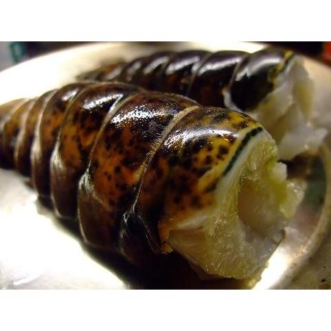 カナダ産　オマール海老（テール）　生冷凍　５尾セット　約90ｇ/1尾（約450ｇ）　2-3oz