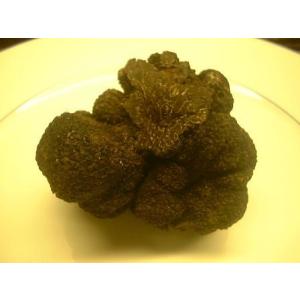 フレッシュ　黒（冬）トリュフ　オーストラリア・マンジマップ産　形の悪い物　約101ｇ〜150ｇ　31320円/100ｇ　量り売り商品　毎週末入荷予定　8月くらいまで。