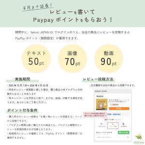 菊芋パウダー 国産 170g 熊本県産 菊芋粉...の詳細画像3