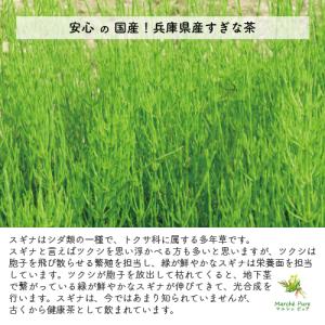 すぎな茶 国産 ティーパック 2g×40包 兵...の詳細画像2