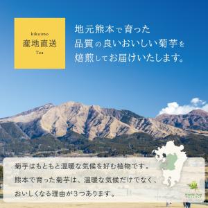 菊芋茶 国産 ティーパック 40包 熊本県産 ...の詳細画像2