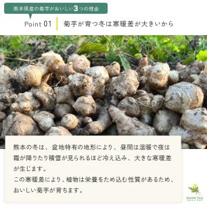 菊芋茶 国産 ティーパック 40包 熊本県産 ...の詳細画像3