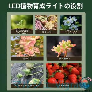 水耕栽培キット 家庭菜園 室内用水耕栽培キット...の詳細画像5