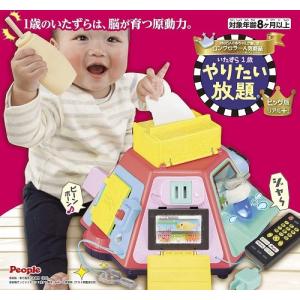 いたずら1歳 やりたい放題ビッグ版リアル+ (リアルプラス)