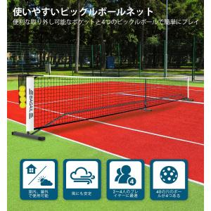 BAGAILピックルボールネットアウトドア用 ...の詳細画像2