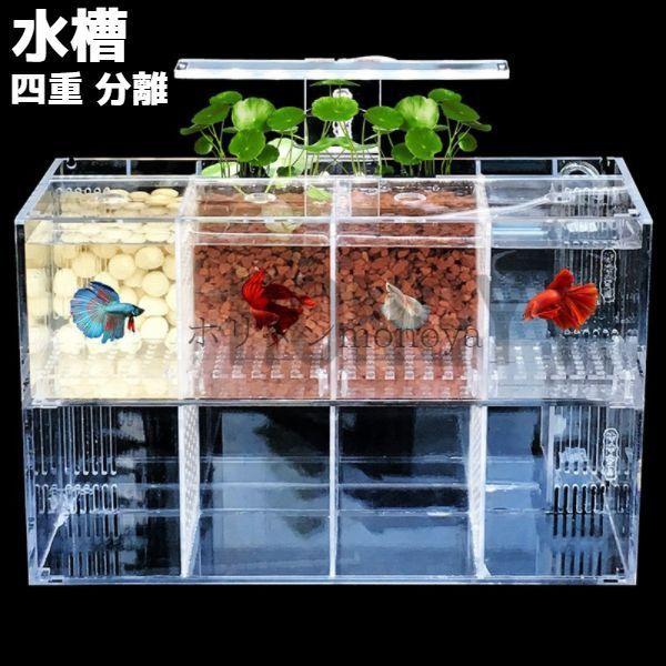 水槽 四重 分離 LEDライト ポンプ アクリルボード Betta ベタ 魚 飼育用 ペット 熱帯魚