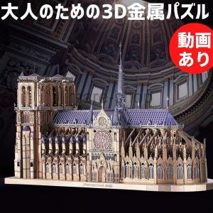 ナノパズル キット ノートルダム大聖堂 建物 メタリック DIY 3D 大人のためのパズル ジグソー...