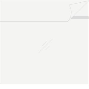 LPジャケットクリアシール LPレコード 12インチ用 OPP製 のり付き袋 小（LP約5枚） 10...