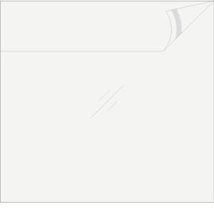 LPジャケットクリアシール LPレコード 12インチ用 OPP製 のり付き袋 中（LP約10枚） 1...