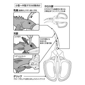 Tsulino 魚をおいしく安全に持ち帰る活き...の詳細画像3