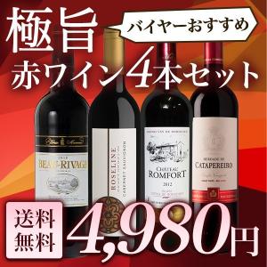 ワインセット 極旨赤ワイン6本セット バイヤーお勧めの赤ワイ...
