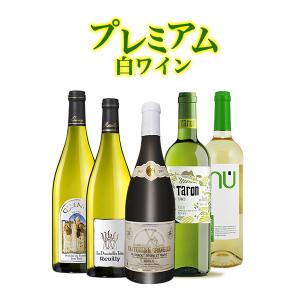 白ワインセット 送料無料 プレミアム白5本セット 格安ワインとはひと味違う上質白のみ 自社直輸入