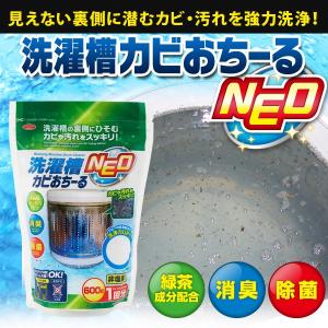 洗濯槽クリーナー 洗浄剤 縦型 洗濯槽 洗浄剤 泡クリーナー 洗濯槽洗剤 洗濯機 洗たく槽 カビ落とし カビ防止 除菌 消臭 部屋干し 梅雨 アイメディア