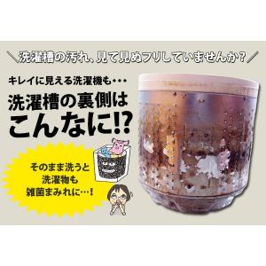 洗濯槽クリーナー 洗浄剤 縦型 洗濯槽 洗浄剤...の詳細画像1