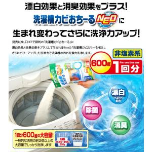 洗濯槽クリーナー 洗浄剤 縦型 洗濯槽 洗浄剤...の詳細画像3