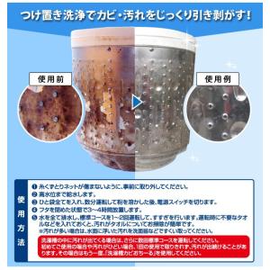 洗濯槽クリーナー 洗浄剤 縦型 洗濯槽 洗浄剤...の詳細画像4