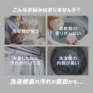 業務用 洗濯槽クリーナー 洗濯槽カビおちーる ...の詳細画像3