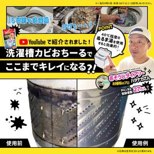 業務用 洗濯槽クリーナー 洗濯槽カビおちーる ...の詳細画像2