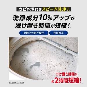 業務用 洗濯槽クリーナー 洗濯槽カビおちーる ...の詳細画像5