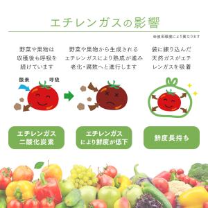 鮮度保持袋 野菜保存袋 40枚入×3パック ポ...の詳細画像3