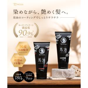 白髪染め 馬油ヘアカラートリートメント 2本組...の詳細画像2