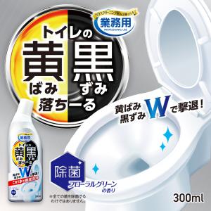トイレ洗剤 トイレクリーナー 業務用 黄ばみ ...の詳細画像2